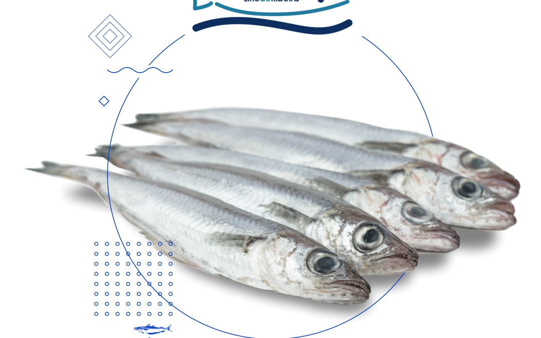 ¿Que é o lirio de Ribeira?