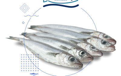 ¿Qué es el lirio de Ribeira?