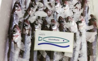 ÉXITO NA IMPLANTACIÓN DA MARCA LIRIO DE RIBEIRA DA OPP83